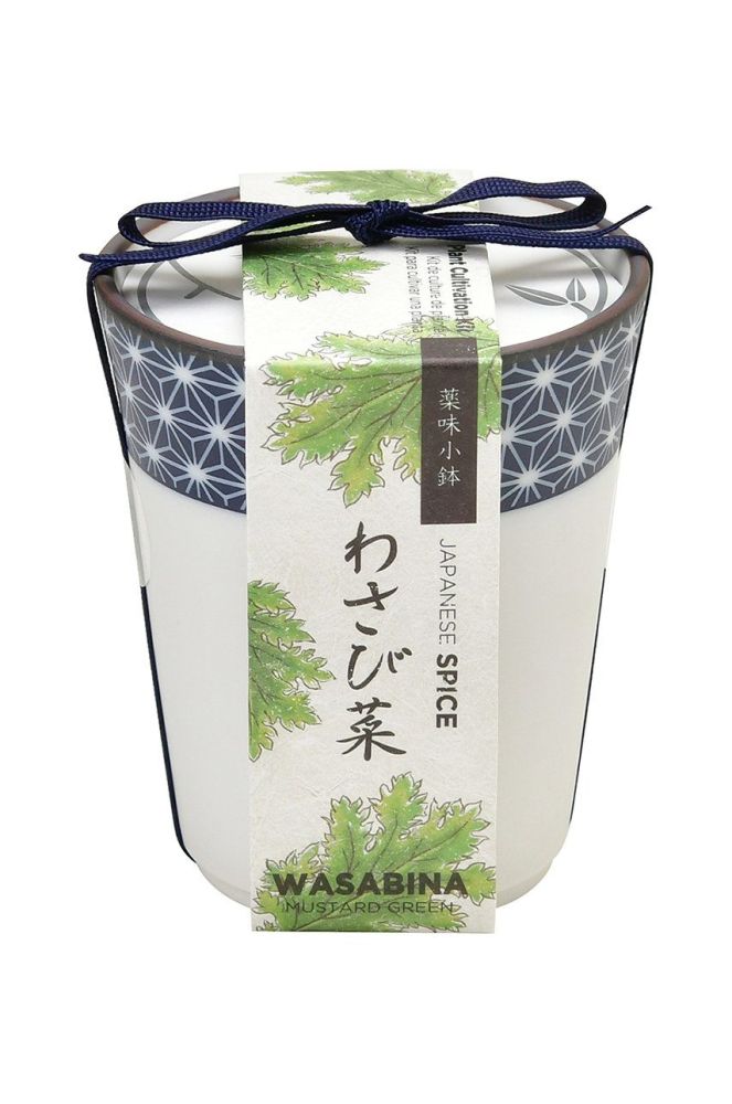 Noted набір для вирощування рослин Yakumi, Wasabina колір барвистий