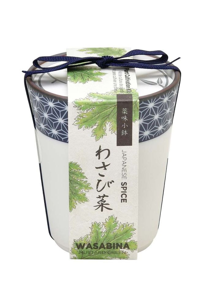 Набір для вирощування рослин Noted Yakumi, Wasabina колір барвистий