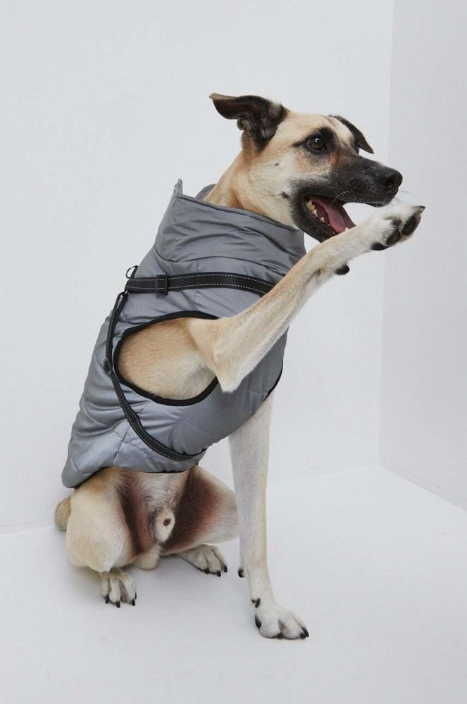 Куртка для собаки Medicine колір срібний (3675467)