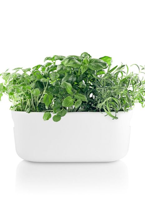 Eva Solo - Самополивний горщик колір білий (1961686) Eva Solo - Самополивний горщик колір білий (1961686)