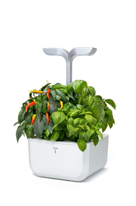 Veritable - Автономний домашній сад Exky Smart колір білий Veritable - Автономний домашній сад Exky Smart колір білий