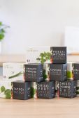 Veritable - Поливні ґноти для горщиків (8-pack) колір білий Veritable - Поливні ґноти для горщиків (8-pack) колір білий