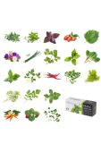 Veritable - Поливні ґноти для горщиків (8-pack) колір білий Veritable - Поливні ґноти для горщиків (8-pack) колір білий