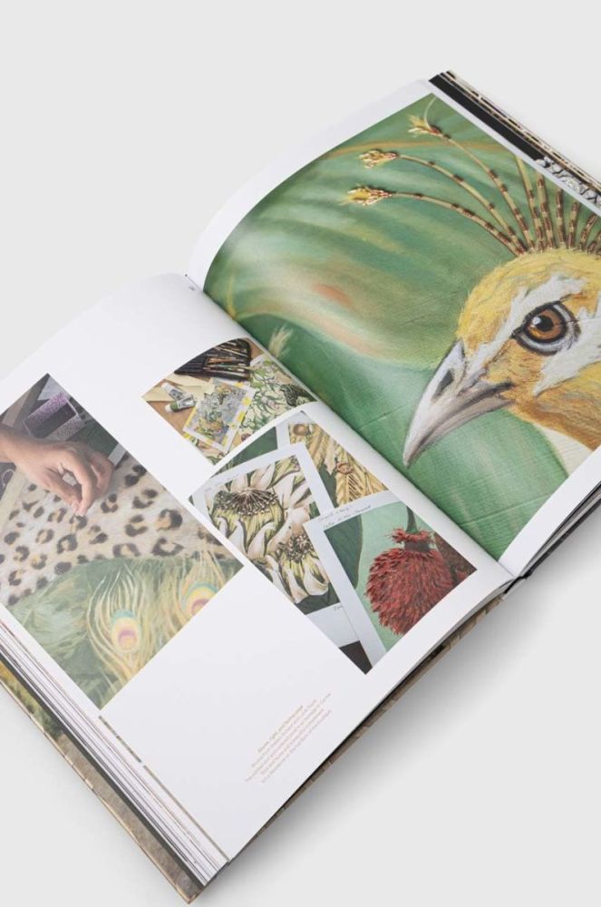 Книга Editions Flammarion Cartier, Francois Chaille колір барвистий фото 3