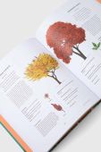 Книга Dorling Kindersley Ltd RHS The Tree in My Garden, Kate Bradbury колір барвистий
