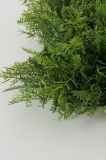 Boltze Штучна рослина Grass колір зелений