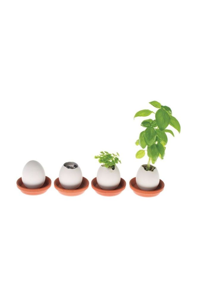 Noted набір для вирощування рослин Eggling Herb Basil колір барвистий фото 2