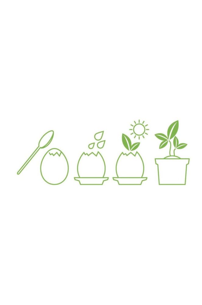 Noted набір для вирощування рослин Eggling Herb Basil колір барвистий фото 3