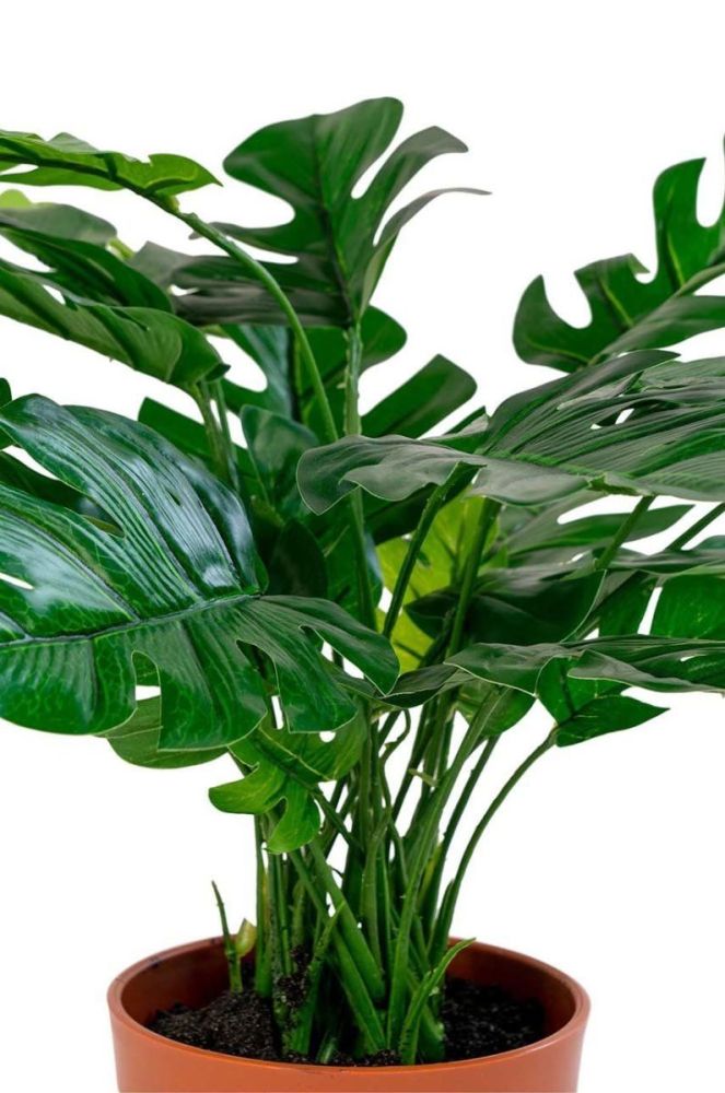 Штучна рослина в горщику House Nordic Monstera колір барвистий фото 2
