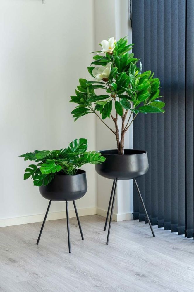 Штучна рослина в горщику House Nordic Monstera колір барвистий фото 5