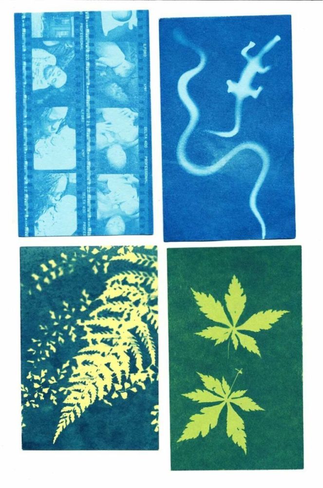 Набор для создания фото Noted Sunography - Color Cards 5-pack цвет красочный фото 5