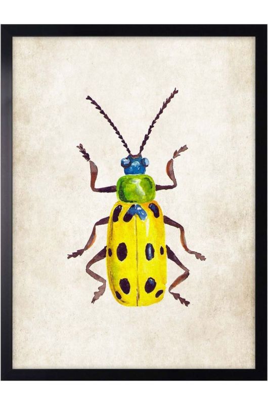 Настінна декорація на папері в рамці 30x40 cm колір барвистий (3252205)