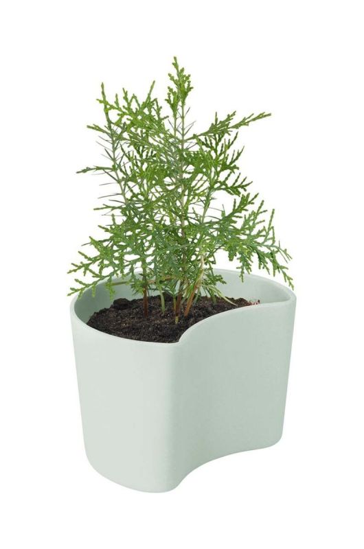 Горщик з насінням Rig-Tig Your Tree Birch колір зелений фото 2