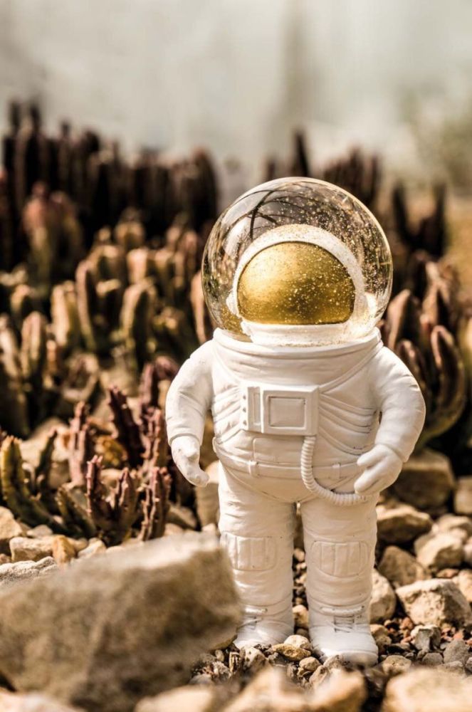 Декорация Donkey Summerglobe The Astronaut цвет красочный фото 2