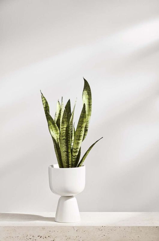 Горщик Iittala Nappula колір білий фото 2