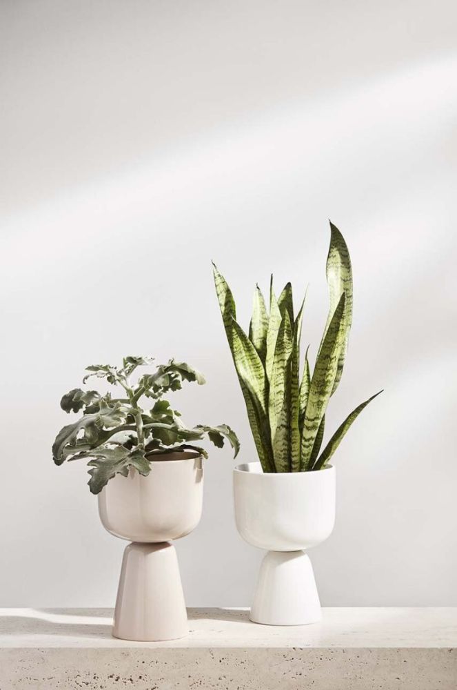 Горщик Iittala Nappula колір білий фото 3