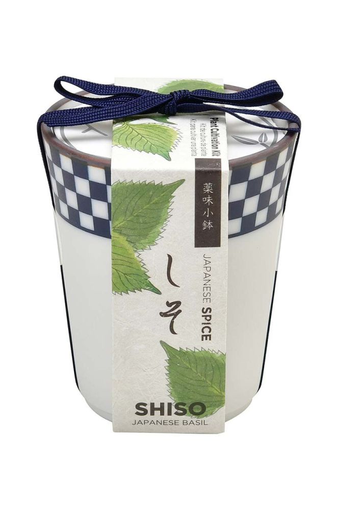 Набір для вирощування рослин Noted Yakumi, Shiso, Japanese Basil колір барвистий