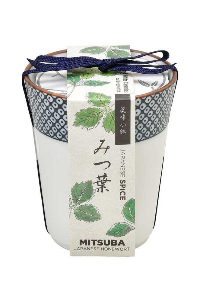 Набір для вирощування рослин Noted Yakumi, Mitsuba колір барвистий