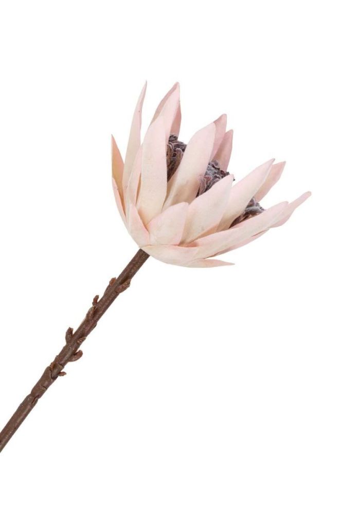 Штучні квіти House Nordic King Protea Bouquet колір барвистий фото 3