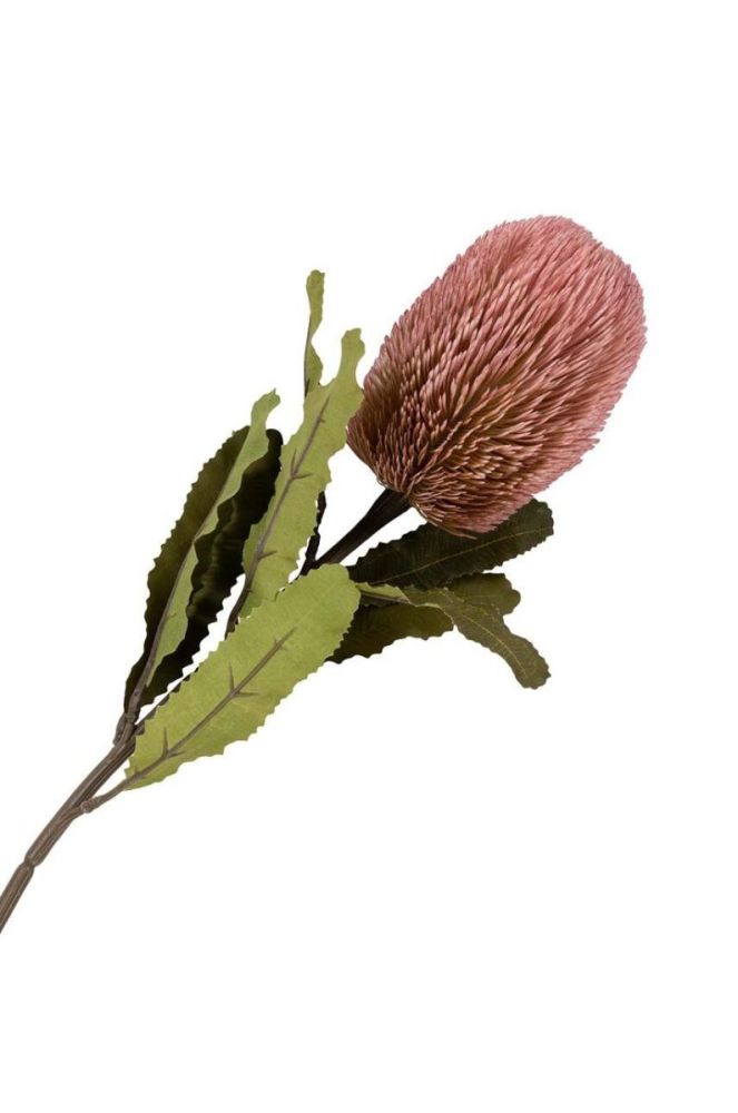 Штучні квіти House Nordic King Protea Bouquet колір барвистий (3677750) фото 3