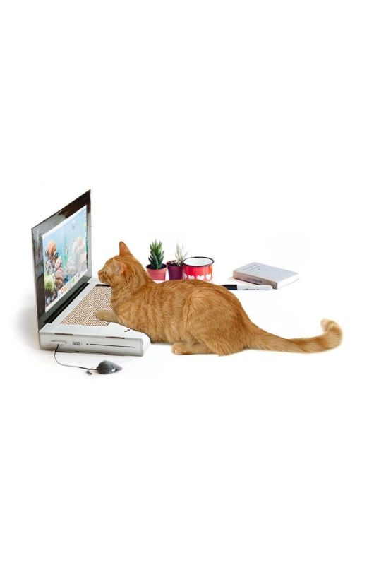 Luckies of London Дряпачка для кота Scratch Laptop колір барвистий фото 2