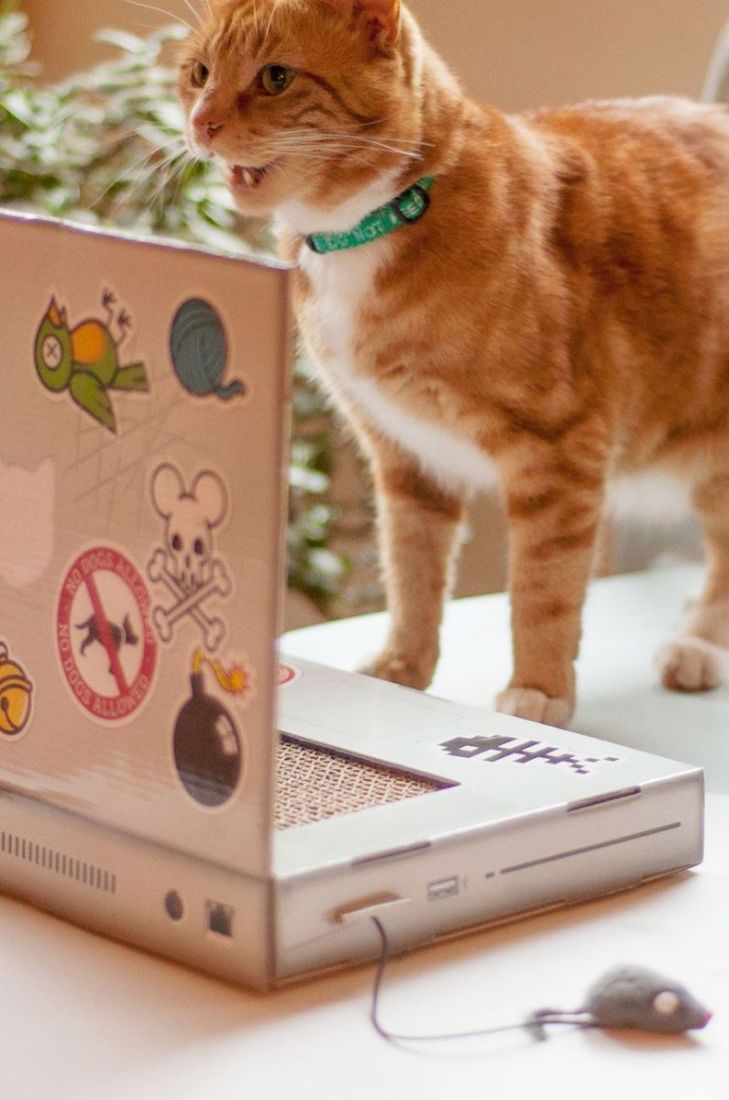 Luckies of London Дряпачка для кота Scratch Laptop колір барвистий