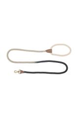Стильний вигул у місті