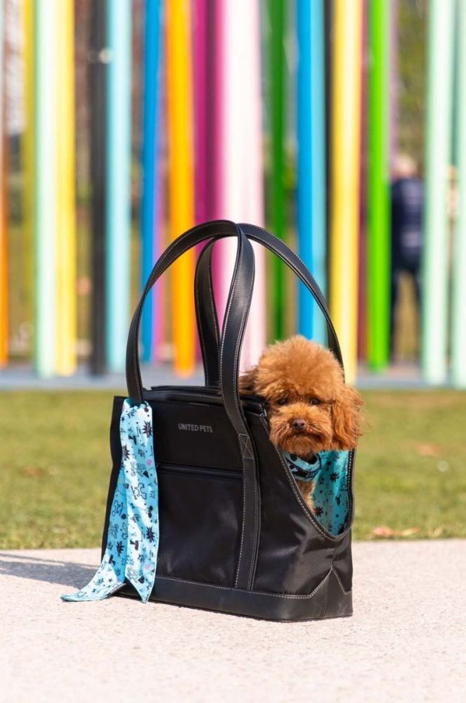Переноска для улюбленця United Pets Up Bag колір барвистий (3680569) фото 5