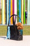 Переноска для улюбленця United Pets Up Bag колір барвистий (3680569)