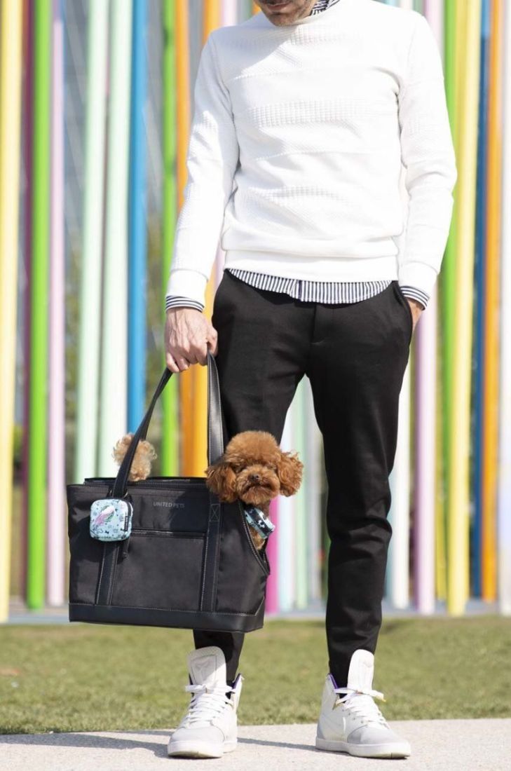 Переноска для улюбленця United Pets Up Bag колір барвистий (3680569)