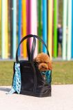 Переноска для улюбленця United Pets Up Bag колір барвистий (3680305)