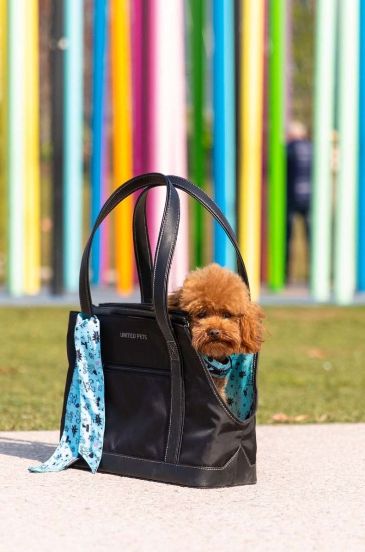 Переноска для улюбленця United Pets Up Bag колір барвистий (3680305)