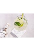 Snippers Набір для ароматизації алкоголю Gin Originals 350 ml колір барвистий Snippers Набір для ароматизації алкоголю Gin Originals 350 ml колір барвистий