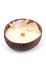 Graine Creative набір DIY ароматична свічка Coconut Candle колір барвистий