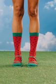 Шкарпетки Eat My Socks Fresh Watermelon колір барвистий Шкарпетки Eat My Socks Fresh Watermelon колір барвистий