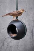 Годівниця для птахів Rosendahl Green Recycled колір зелений (3368360) Годівниця для птахів Rosendahl Green Recycled колір зелений (3368360)