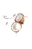 Активована маска для глибокого живлення ufo FOREO Coconut Oil 6-pack колір барвистий