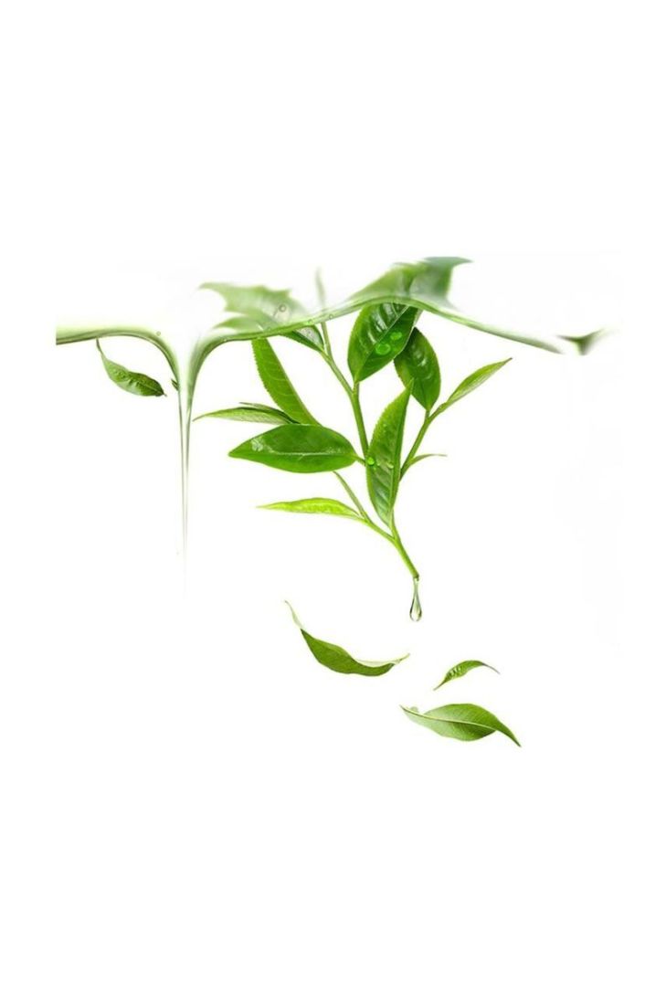 Активована маска для жирної та комбінованої шкіри ufo FOREO Green Tea 6-pack колір барвистий