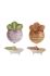 Bloomingville Набір контейнерів (2-pack) колір фіолетовий