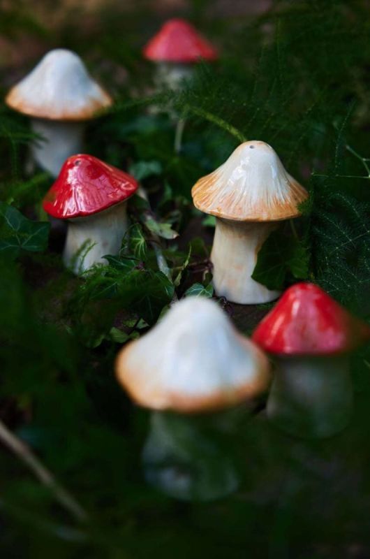 Сільничка і перечниця Byon Mushi колір барвистий фото 2