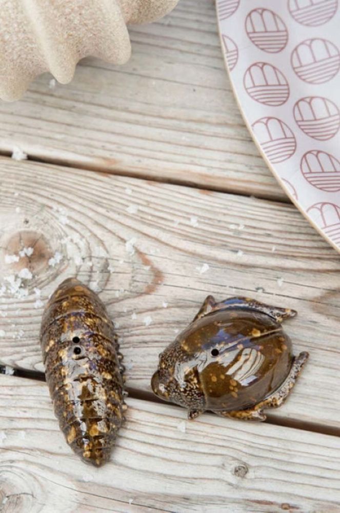 Сільничка і перечниця Byon Bug колір коричневий фото 2