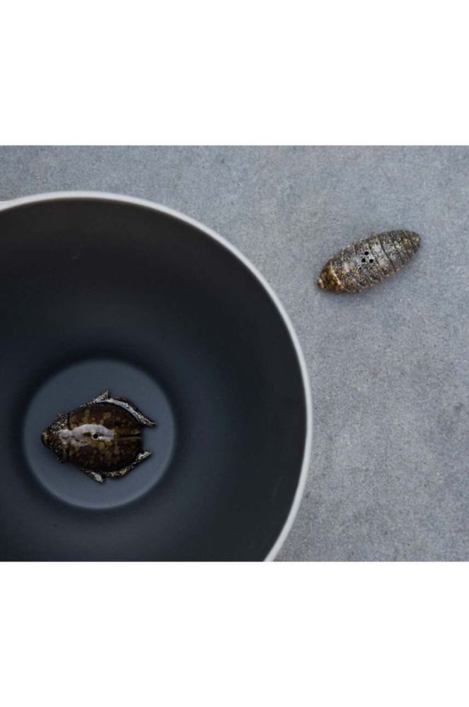 Сільничка і перечниця Byon Bug колір коричневий фото 5