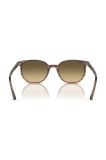 Сонцезахисні окуляри Ray-Ban жіночі колір коричневий (3644546)