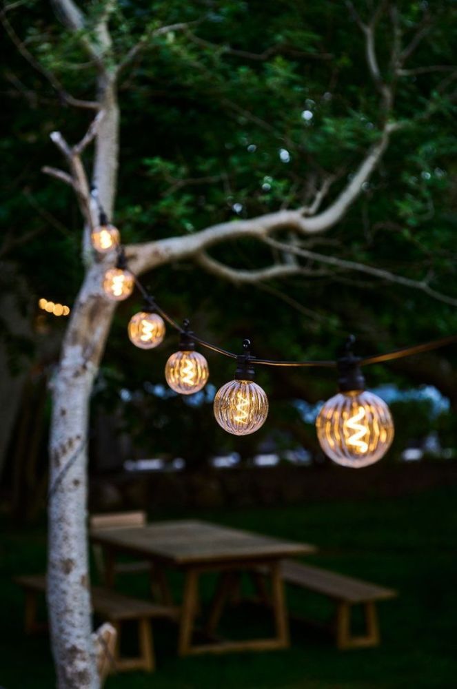 Sirius Гірлянда LED Luke Start set, 10 LED 5 m колір прозорий фото 4