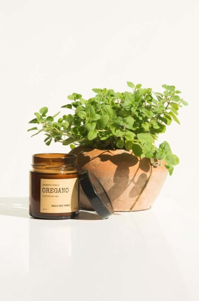 Набір ароматичних свічок Really Nice Things Tomato Leaf & Oregano 2 x 100 g 2 шт. колір барвистий фото 3