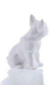 3d-розмальовка Candellana Bulldog Classic колір білий