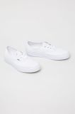 Vans - Кеди Authentic колір білий