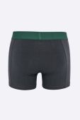 Puma - Боксери Puma Placed logo boxer 2p green (2-pack) 90651904 колір зелений