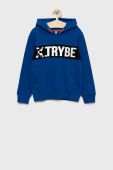 Дитяча бавовняна кофта Birba&Trybeyond з принтом колір блакитний