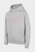 Дитяча кофта 4F колір сірий з капюшоном з принтом (2866300)